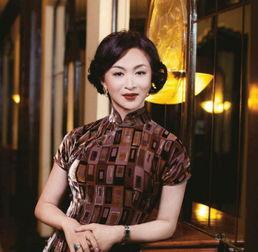 明星金星的个人资料