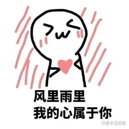 波波虎表情包,萌态可掬，笑点满满的网络文化现象