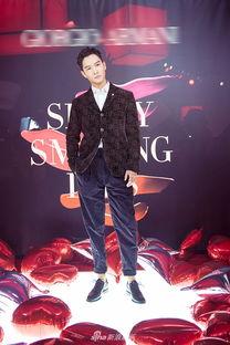 盛一伦娱乐,娱乐界的璀璨星辰